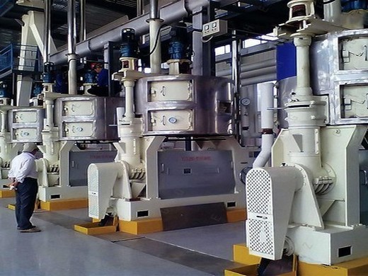 olive oil machines & presses
