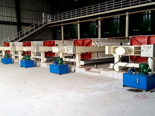 oil maker manufacturer of domestic oil press & mini