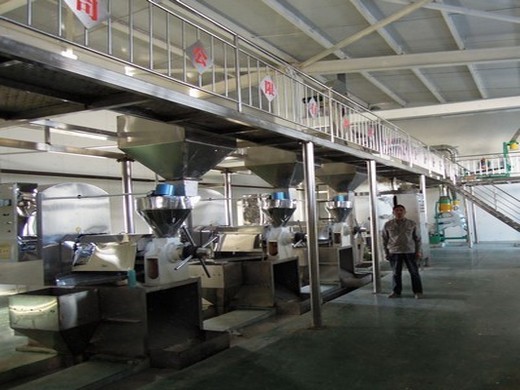 china oil press machine, oil press machine