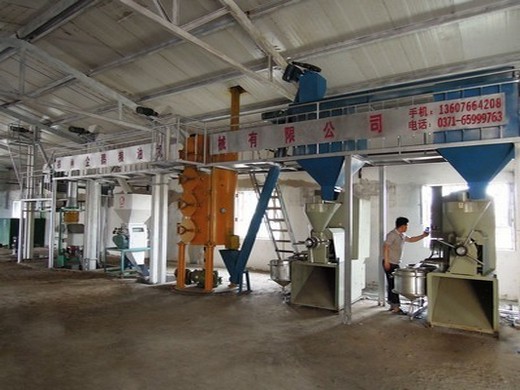 full text: food security in china