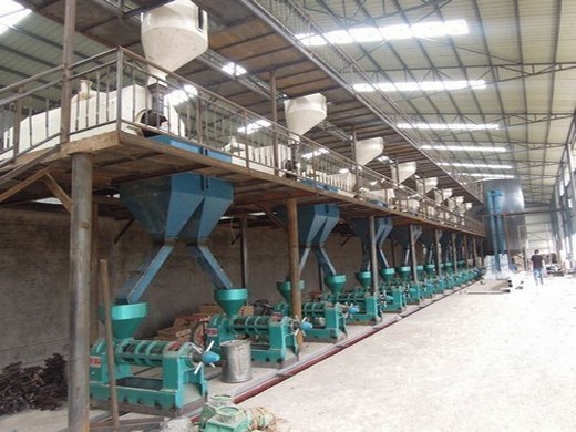 china refined sunflower oil - china oil press, press