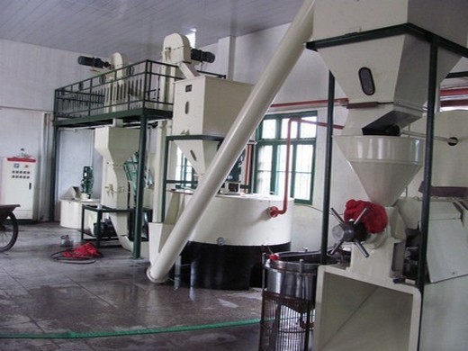 10 best cannabis extraction machines on the market •