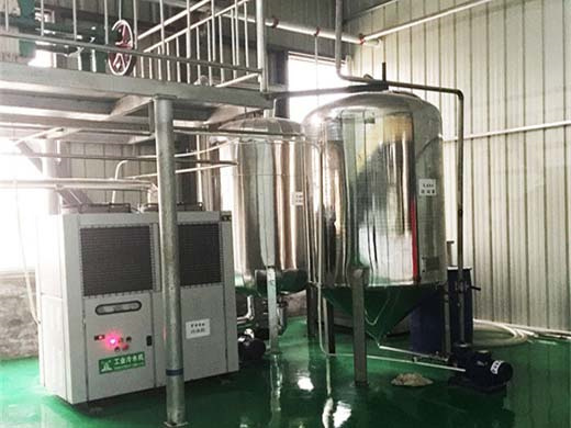best sales china suppliers extraction palm oil by hexane