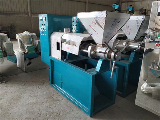 automatische Ölpresse maschine nüsse samen Ölpresse