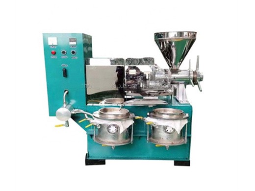 mini cold palm oil press machine japan with ce approval
