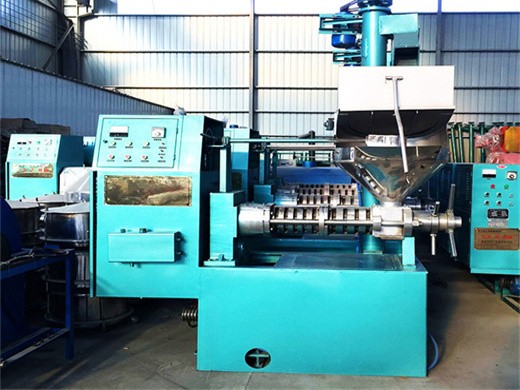 wholesale price buy small peanut oil making machine