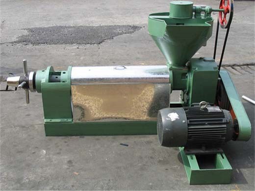 oil press machine price, 2026 oil press machine price