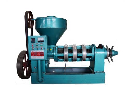 china mustard oil mill machinery cost moringa seed oil
