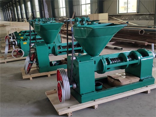 china 2026 new soya bean oil extraction machine rice