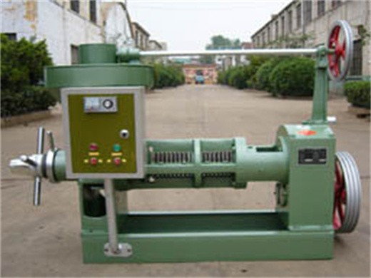 home olive oil press machine machineryhg