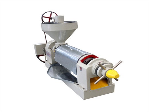 groundnut oil extraction machine prices in nigeria (2026)