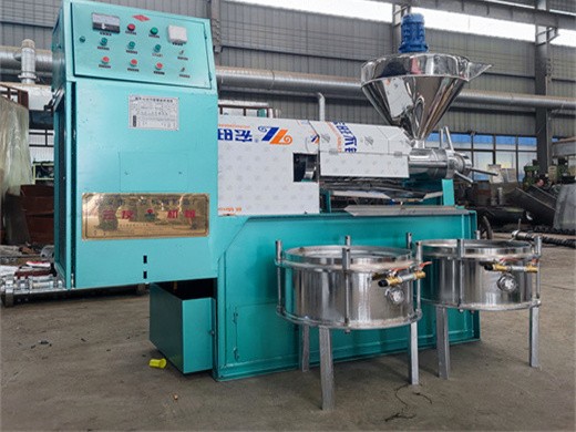 palm kernel oil mill machinepalm oil extraction machine