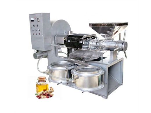 the household automatic electric oil press with high oil