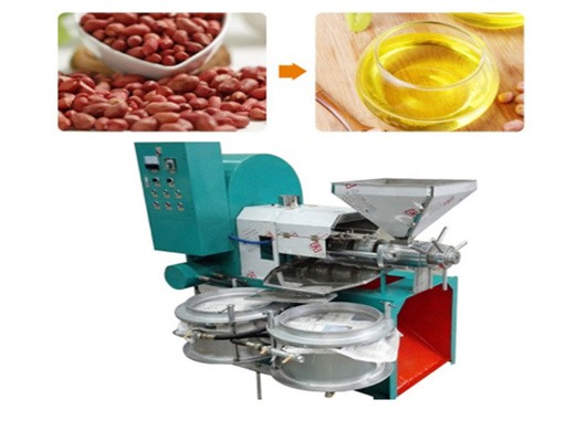 soybean seed oil extraction machine in ethiopia | oil