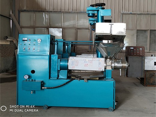 oil production line oil press machine,hydraulic press